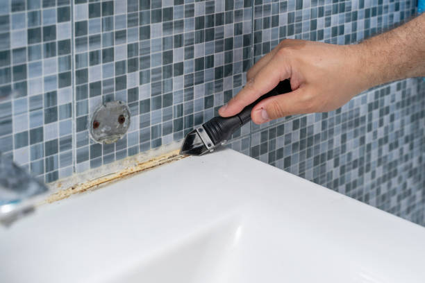 Best Mold Damage Repair  in Boiling Spring Lakes, NC